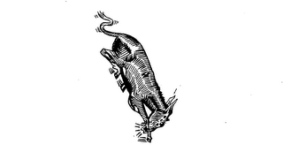 Trademark image