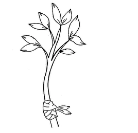 Trademark image