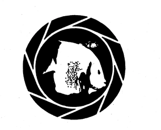 Trademark image