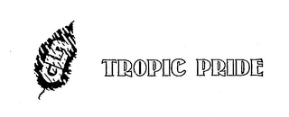 Trademark image