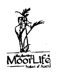 Trademark image