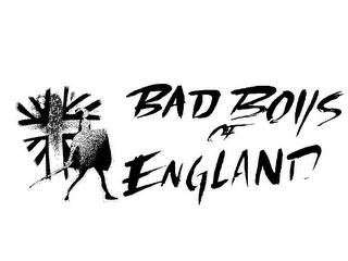 Trademark image