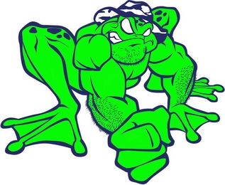 Trademark image