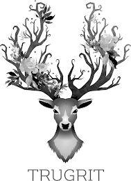 Trademark image