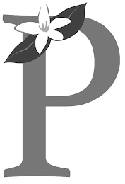 Trademark image