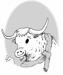Trademark image